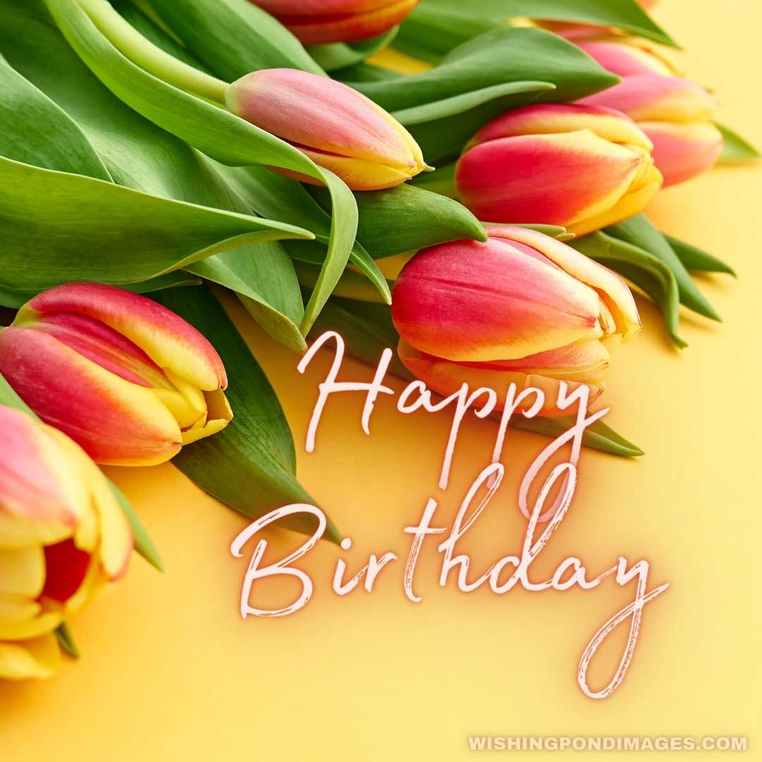 Tulips on yellow pastel background - Happy birthday flowers Images